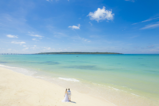 宮古島の海がきれいな理由を知っていますか？