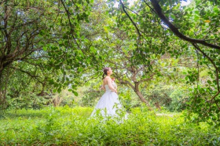 緑あふれる森はまるで童話の世界のよう・・・