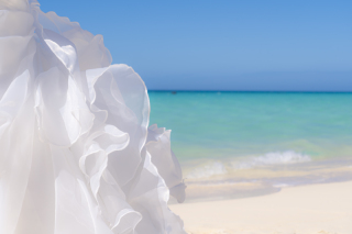 お洒落なアップフォト