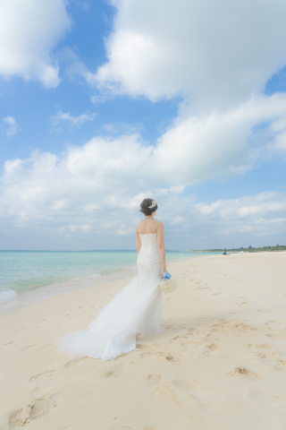 たくさんあるドレスの中から、決めるポイントは(*・ω・)