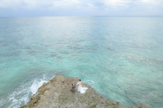 ドローン撮影をされたお客様のお声☺♩♩