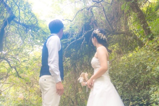 精霊の宿る木ガジュマルの元で愛を誓う♡