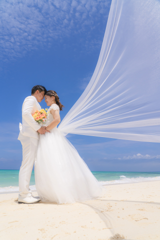 直近のお問い合わせが増えています(*＾＾*)