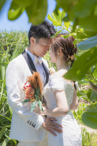 決め手はなににされていますか？(*´艸`)