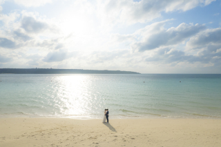 5つのポイントヽ(･ω･*)