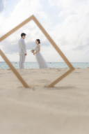 飛行機が欠航！！こんなときどうする？(>｡<;)