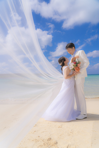 ロングベールショット