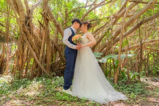 神秘的な森の中で