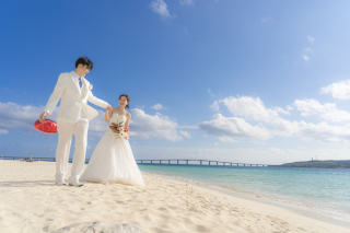 撮影スポットのご紹介