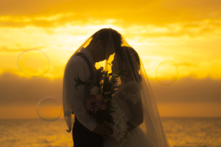 時間帯によって変わる撮影の雰囲気や写真の印象