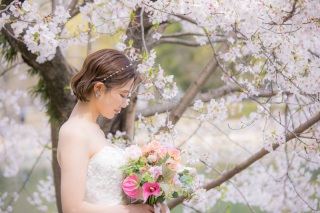 ⚘桜・春ロケ 受付開始⚘