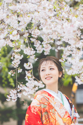 ❀桜ロケ予約開始❀