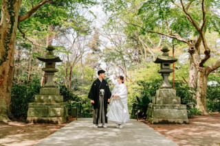 2026春撮影を検討している皆さんへ