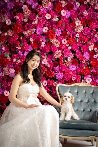 ペット撮影について