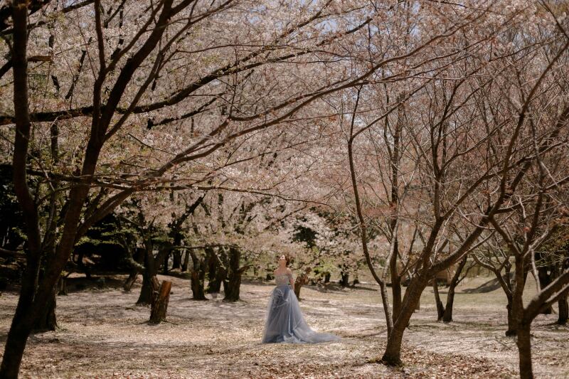 【studio clori.】桜フォト第二弾！　〜 桜×ドレス 〜