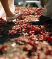 今年もやってきた！紅葉の時期！