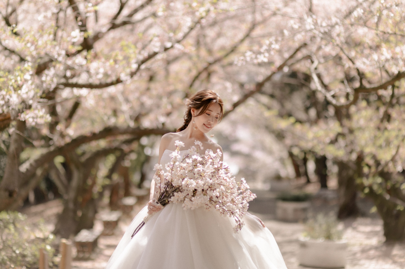 【studio clori.】桜フォト第二弾！　〜 桜×ドレス 〜