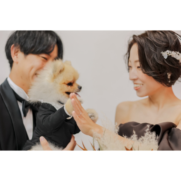 【studio clori.】ペットとの撮影