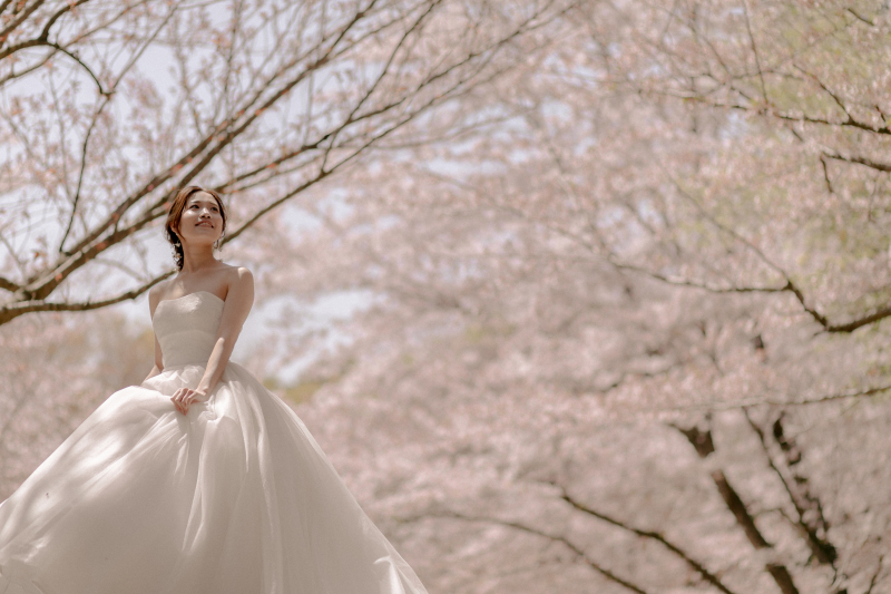 【studio clori.】桜フォト第二弾！　〜 桜×ドレス 〜