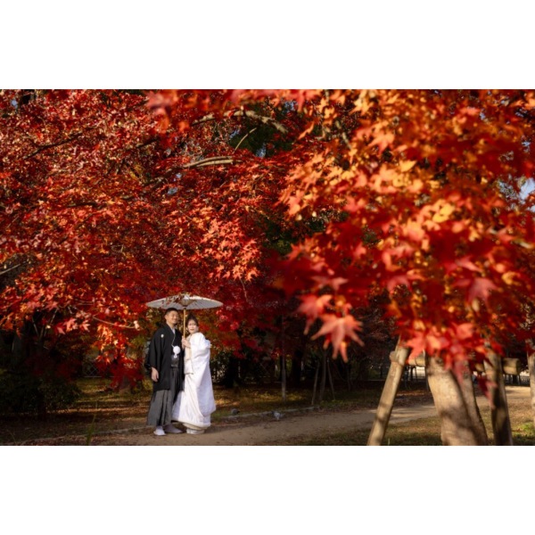【studio clori.】紅葉