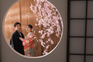 スタジオでも桜が撮れちゃいます！