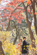 撮れたて！三渓園ロケーション！