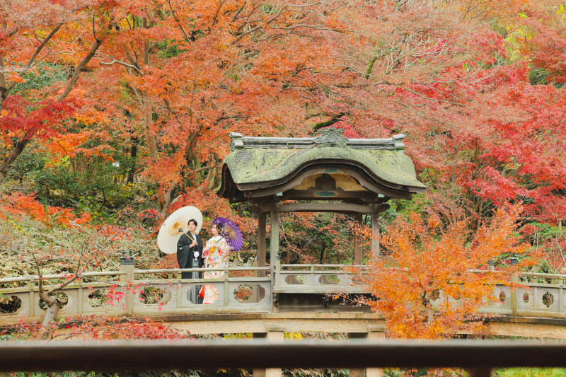 サザンカと紅葉の三渓園photo by 谷澤明美
