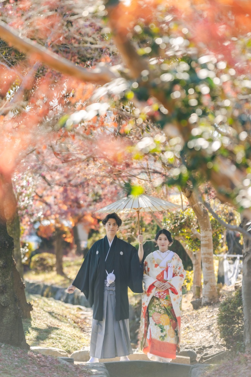 1月もまだ紅葉が!?