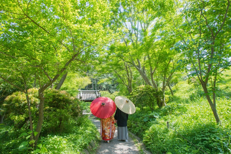 緑が綺麗な時期はロケーションも♪