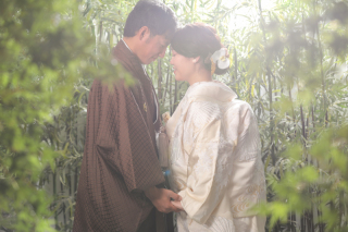 屋内庭園のご案内です！