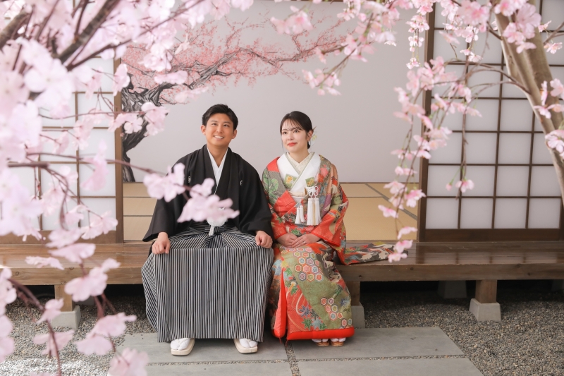 スタジオでも桜が撮れちゃいます！