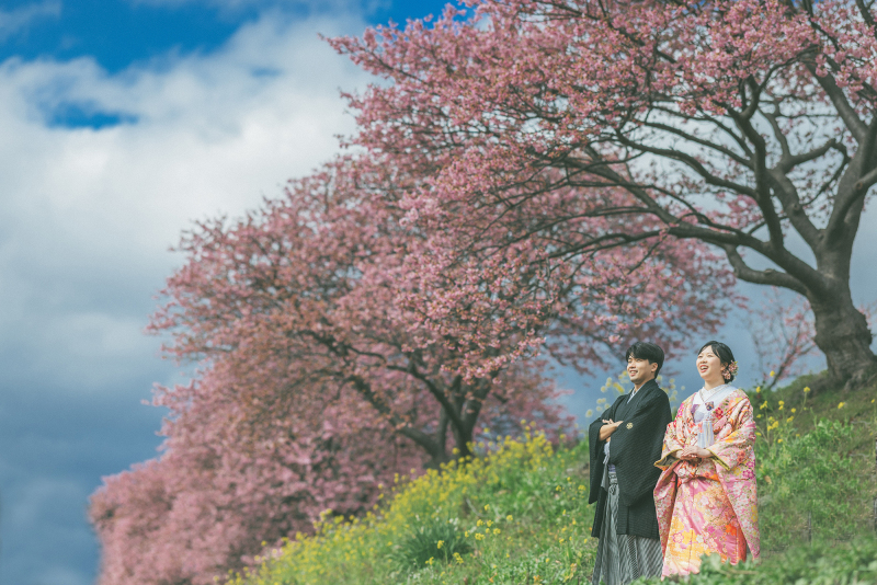 河津桜の季節