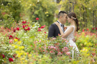 山下公園のバラ園での撮影も素敵です！