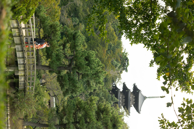 広い日本庭園で