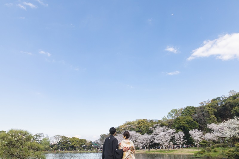 桜満開の三溪園で