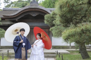 緑美しい三溪園