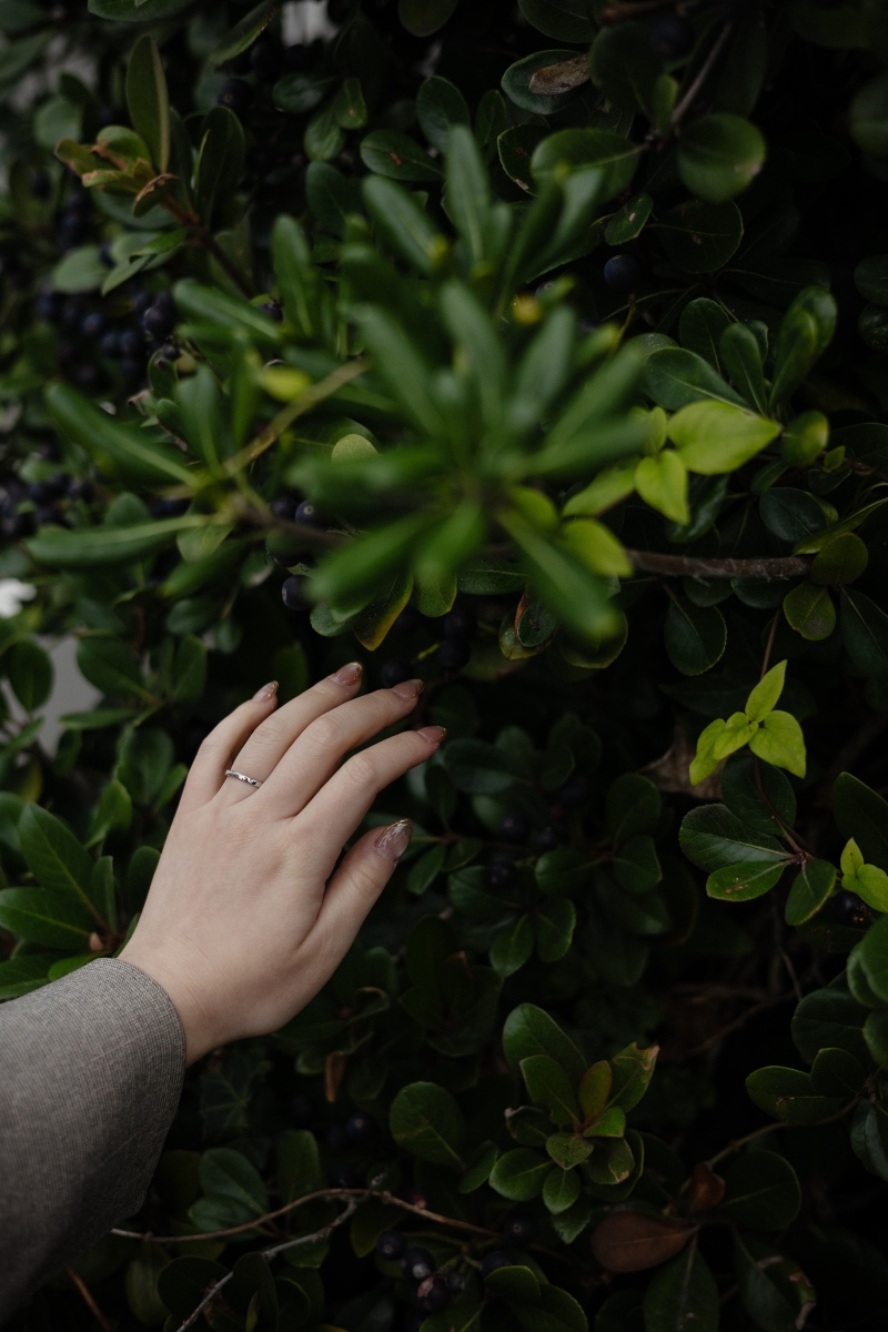 鎌倉街ブラロケーション