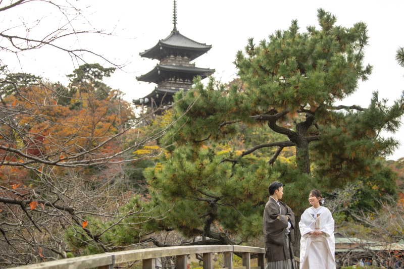 紅葉シーズンの三溪園
