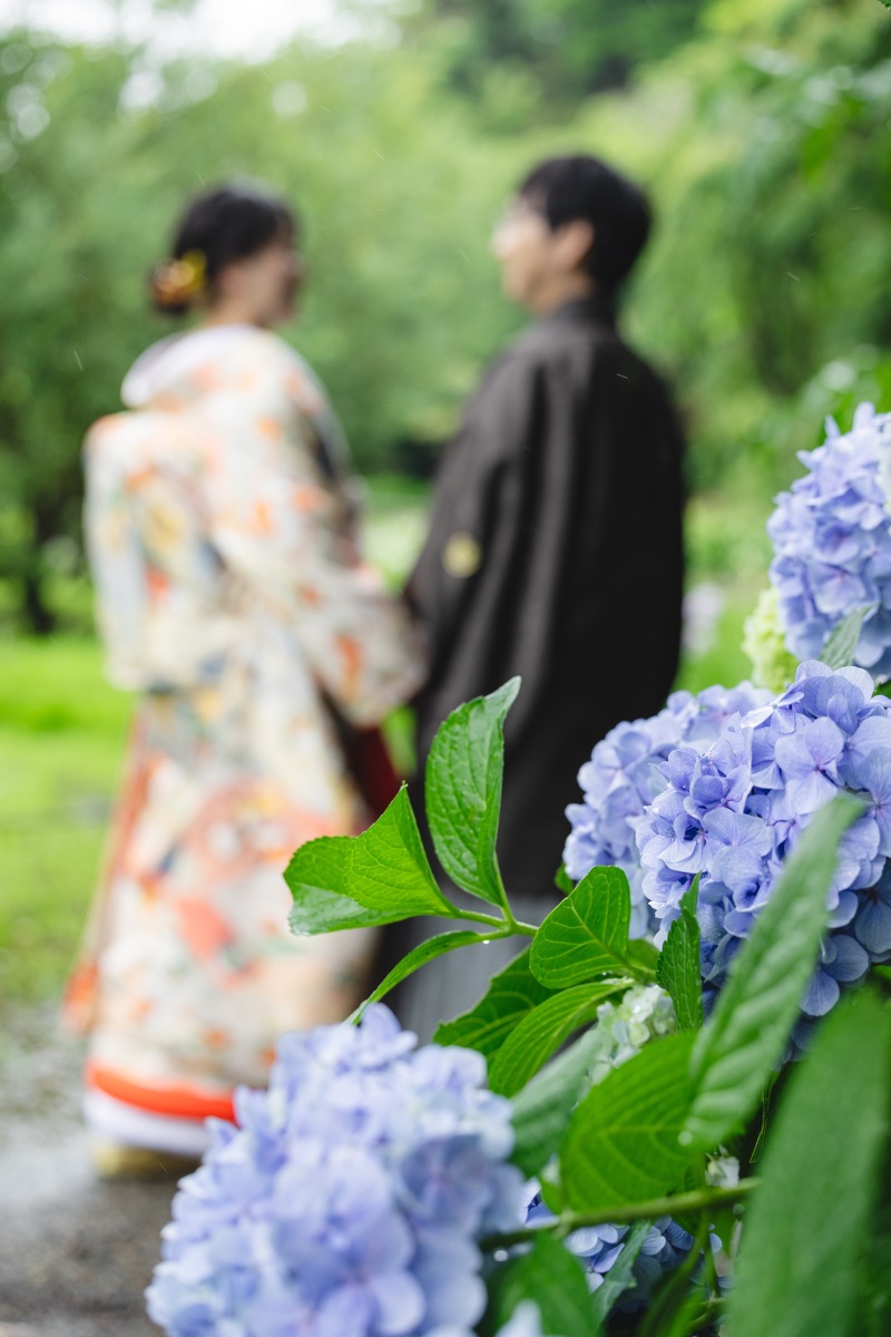 梅雨の日の三溪園