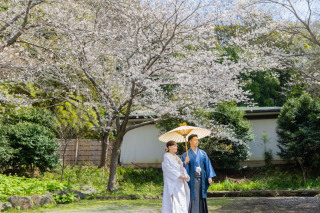 春の三溪園