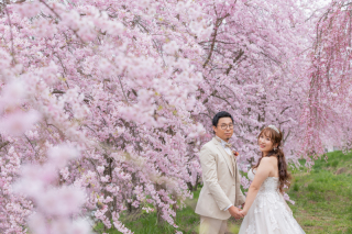 【軽井沢情報！】桜わずか！新緑も多くの予約入ってます！