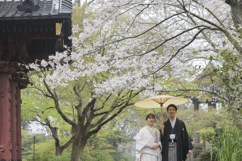 雨の妙本寺