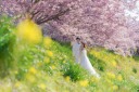 春撮影のご相談は今がベスト！