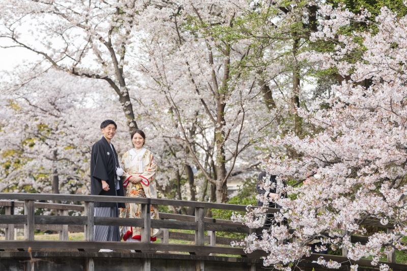 桜満開の三溪園で