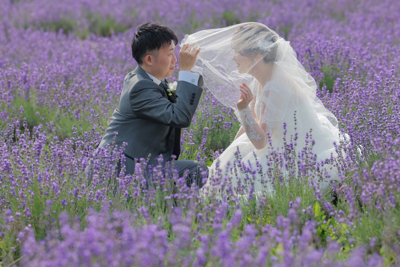 北海道のお花畑での撮影!!