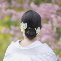 和装シニヨンってどのくらいの種類があるのかな、、？