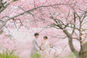 桜と一緒に撮影はいかが?