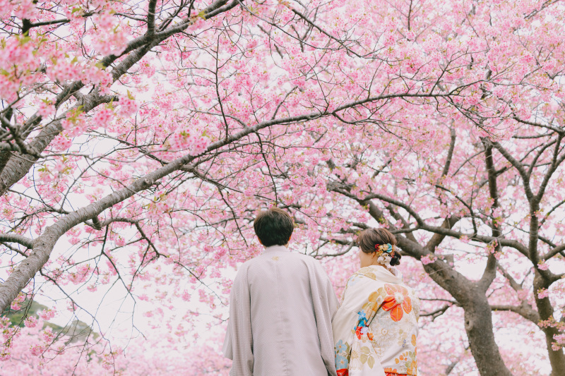 桜と一緒に撮影はいかが?