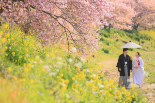 【伊豆河津桜　撮影空き枠！】