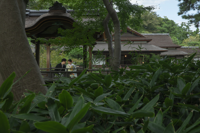 三溪園の自然と